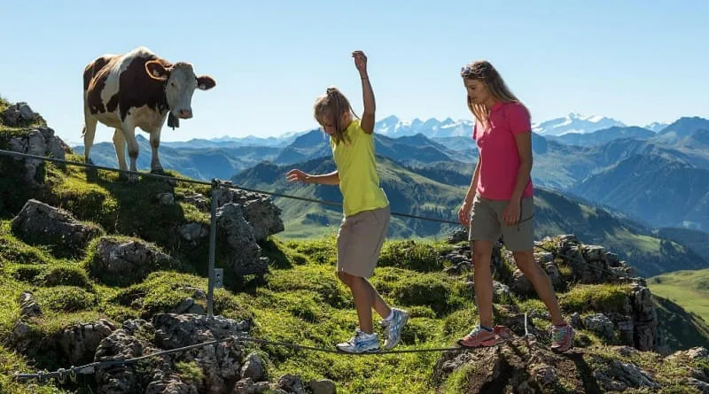 Kitzbueheler-Horn-Kletterpfad-und-Alpenblumengarten Kitzbueheler-Horn-Kletterpfad-und-Alpenblumengarten