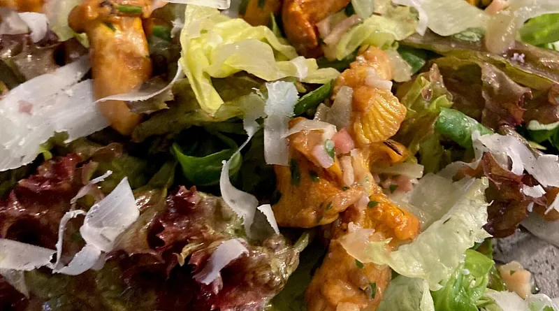 eierschwammerl_salat.jpg
